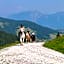 Hotel Der Wastlhof - Reiten, Wellness & Aktivurlaub in den Bergen
