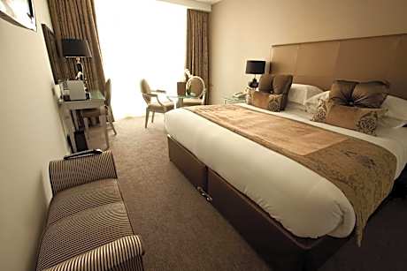 Executive Double or Twin Room