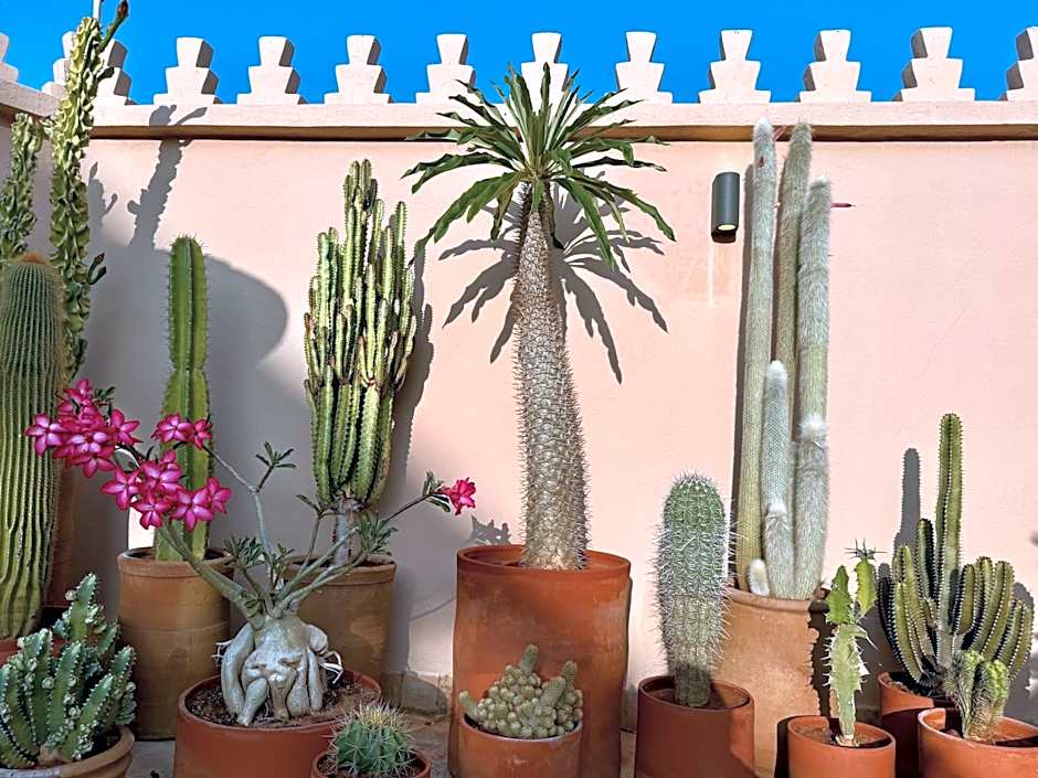 Riad Zamane Fès - Boutique & Spa