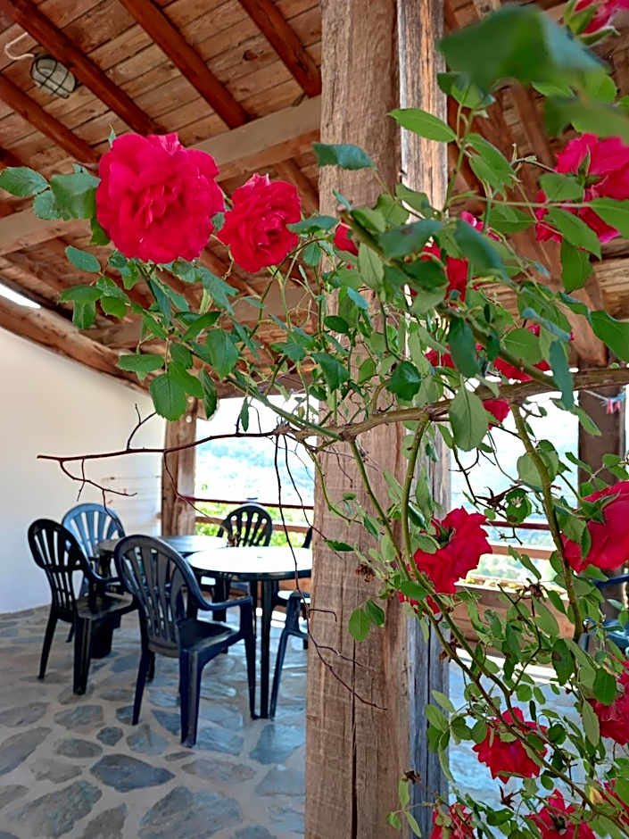 Apartment Le 1739