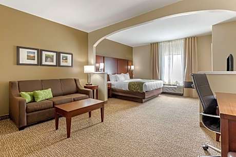 1 King Bed, Suite, Nonsmoking