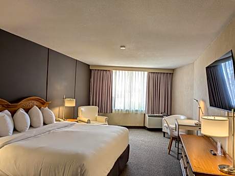 Standard King Room with City View