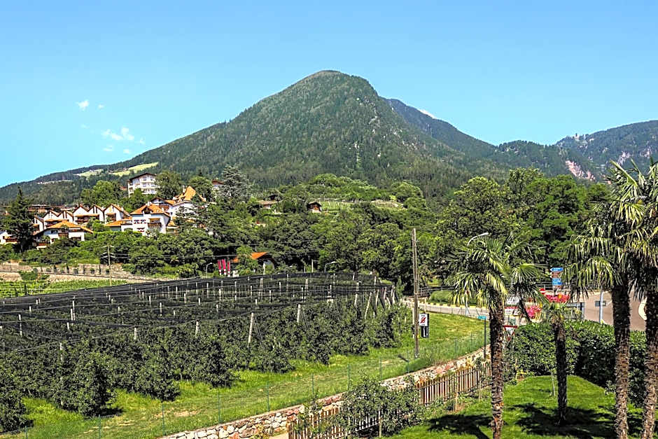 Guesthouse Pension Grafenstein