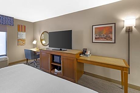 King Room - Mobility Access/Non-Smoking