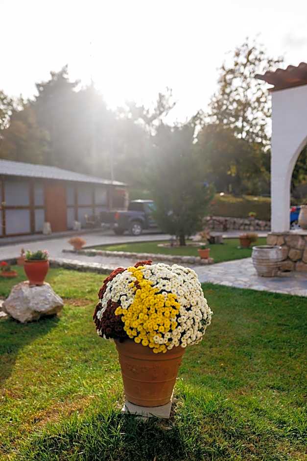 Apolithomeno Dasos Holiday Villas near Alexandroupolis