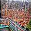 Slide Mountain Forest House
