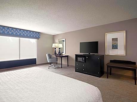 King Suite with Roll-In Shower - Mobility and Hearing Access/Non-Smoking