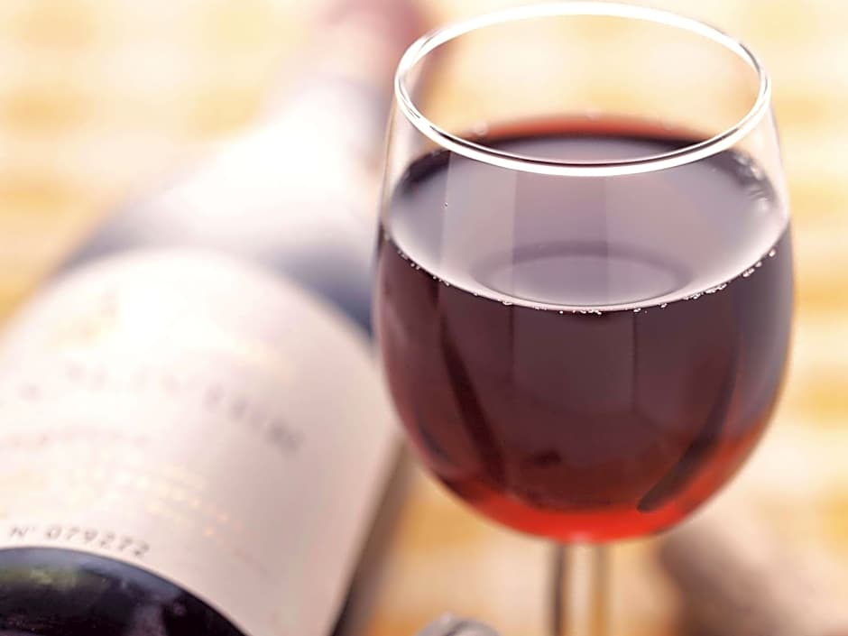 Ibis Sao Jose do Rio Preto