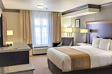 Family Suite (1 King Bed 2 Queen Beds)
