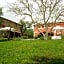 Il Giardino delle Esperidi