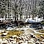Franconia Notch Motel