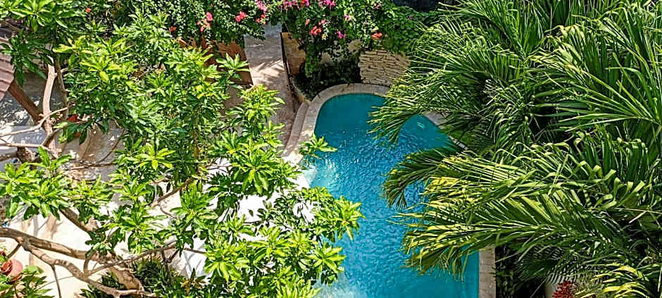 Soraya Yoga Wellness Center