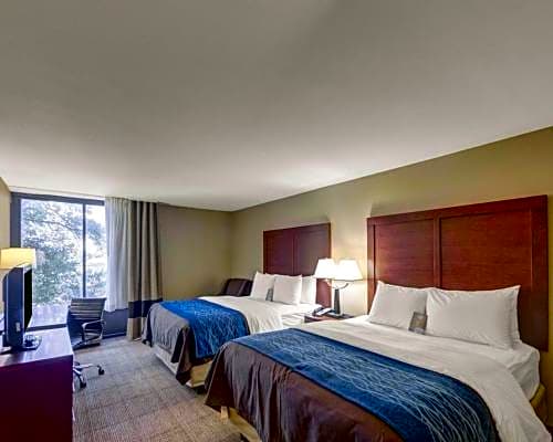 Comfort Inn & Suites Plano East