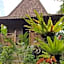 Bali Mountain Retreat