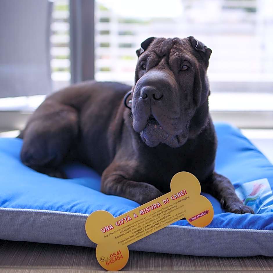 The One Hotel - Designed for Adults - Pet lovers