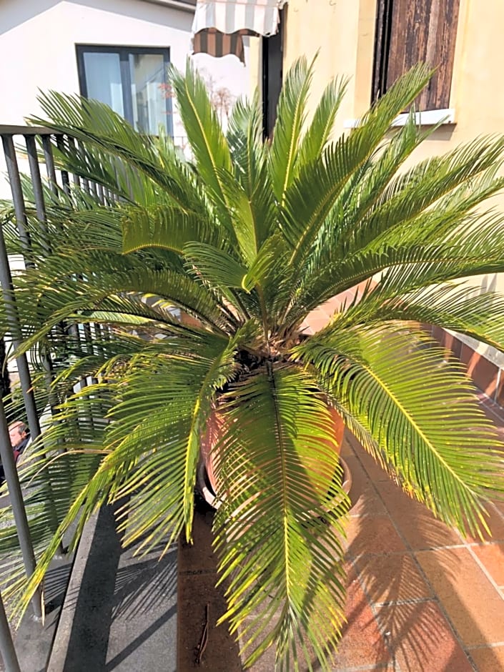 La Terrazza Appartamento turisctico Agata