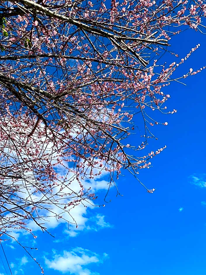 Julie's Garden, Cingjing - Fon Chin Homestay