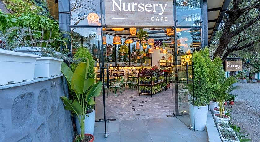 Hotel Shervani Hilltop