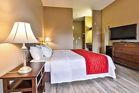 1 King Bed, Business Room, Nonsmoking