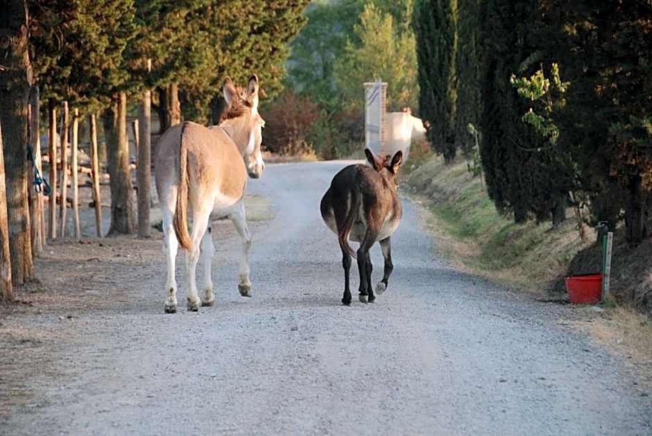 Agriturismo Podere Diacceroni