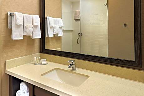 Room, 1 King Bed (Mobility/Hearing Access, Transf Shwr) (1 King Bed)