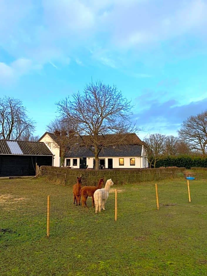 Hoeve Zandbelt