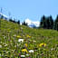 Alpenkräuter Hotel Bären