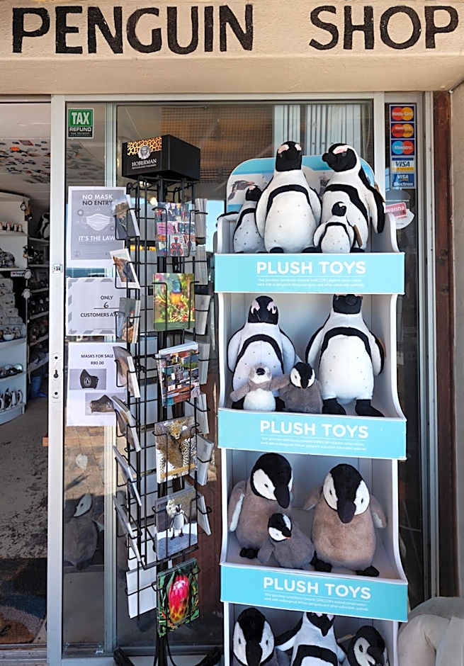 Boulders Beach Hotel, Cafe and Curio shop