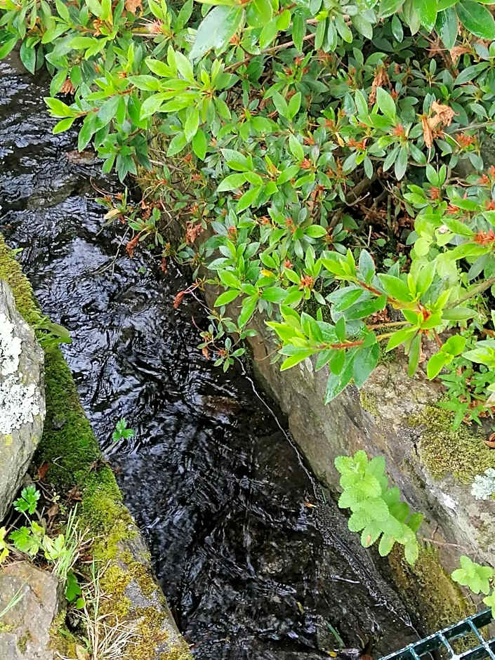 Lar da Mota Boutique Hotel