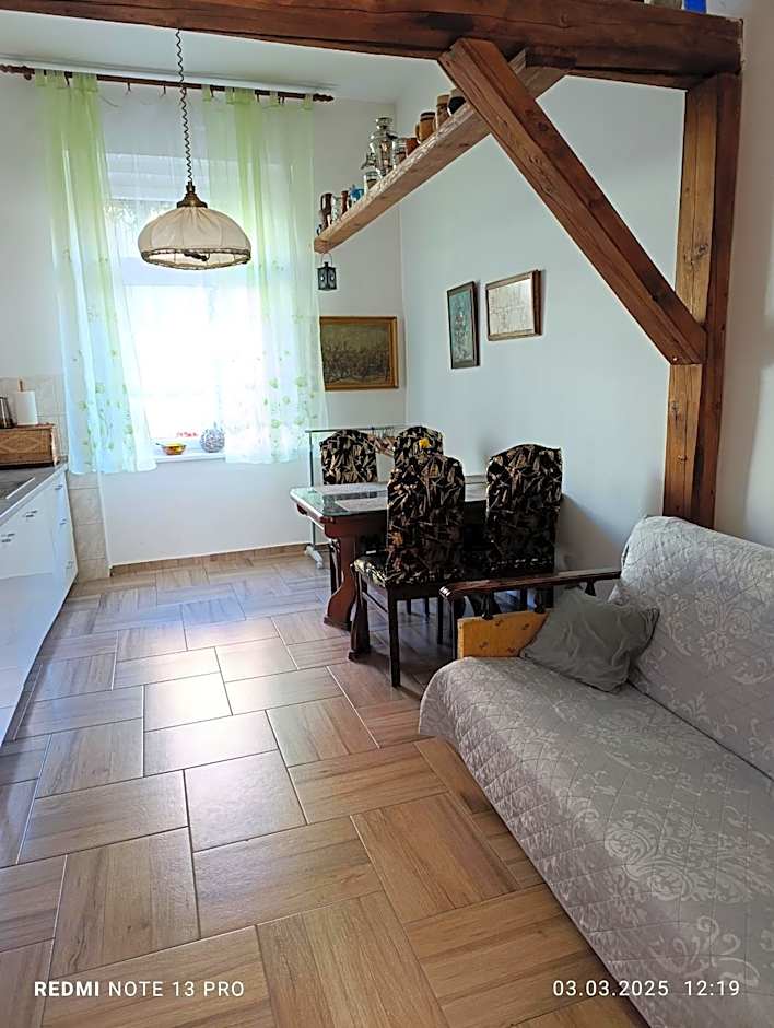 Apartments " VINTAGE " Teplice