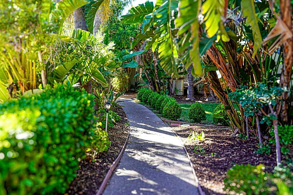 Uptown Oasis San Jose Airport