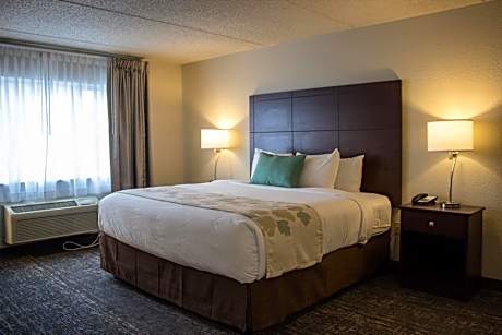 Deluxe Two Room King Suite - Disability Access - Non-Smoking