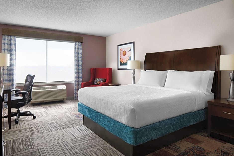 Hilton Garden Inn Denver South Park Meadows Area