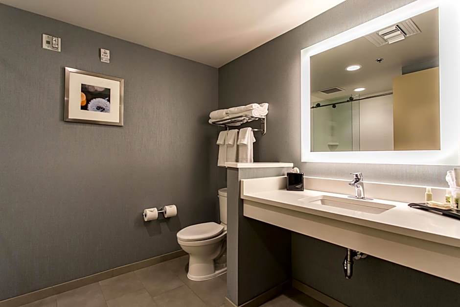 Holiday Inn Hotel & Suites Chattanooga Downtown By IHG