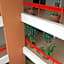 Suites Futura Plaza del Sol