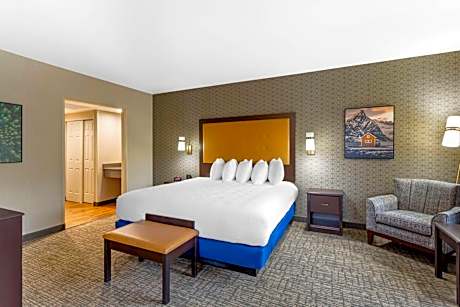 1 King Bed, Non-Smoking, Wireless High-Speed Internet, Microwave, Refrigerator, Sofabed, Executive R