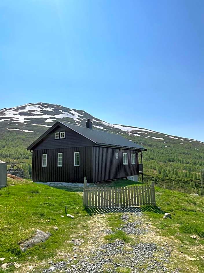 Bjørgo Gard - Stegastein