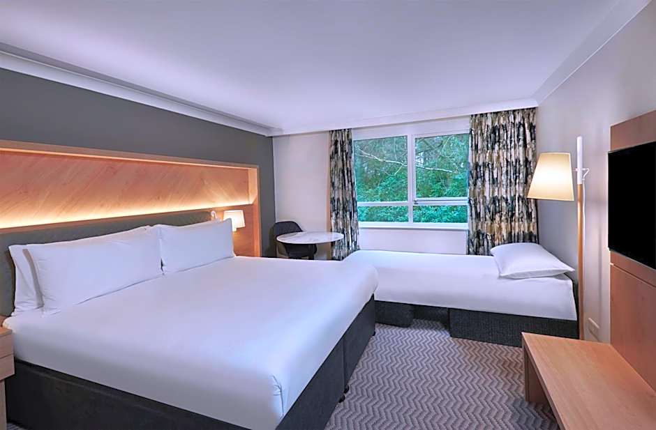 Photo 1 of 5 of Deluxe 1 King Bed with Sofabed