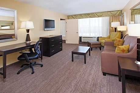 One-Bedroom King Suite