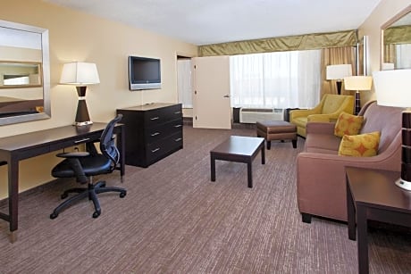 Executive King Suite