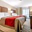 Comfort Inn Fallsview