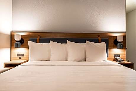 Mobility Accessible Guestroom King Roll-In Shower