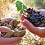TerraVita Winery & Boutique Apartments