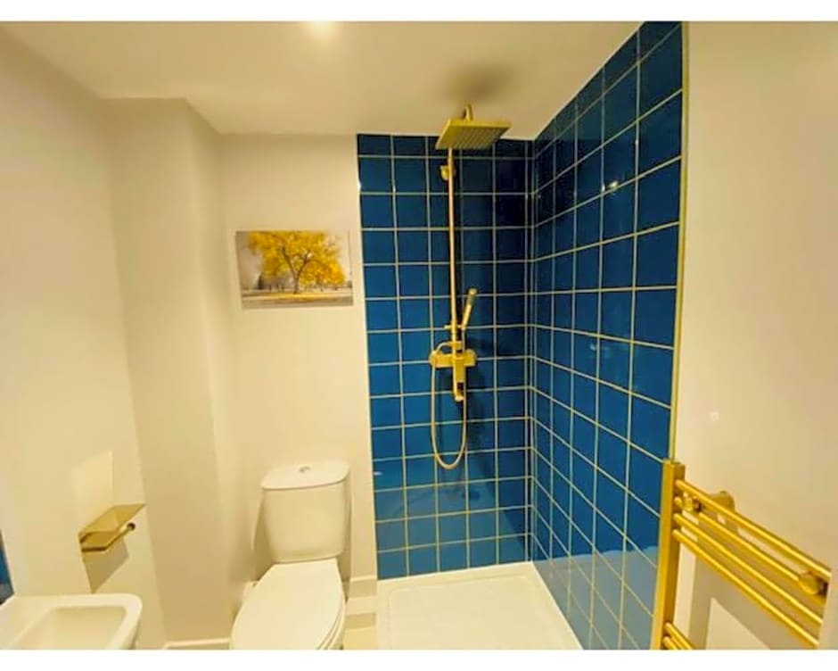 Townhouse PLUS @ Lower Beth Street Stoke