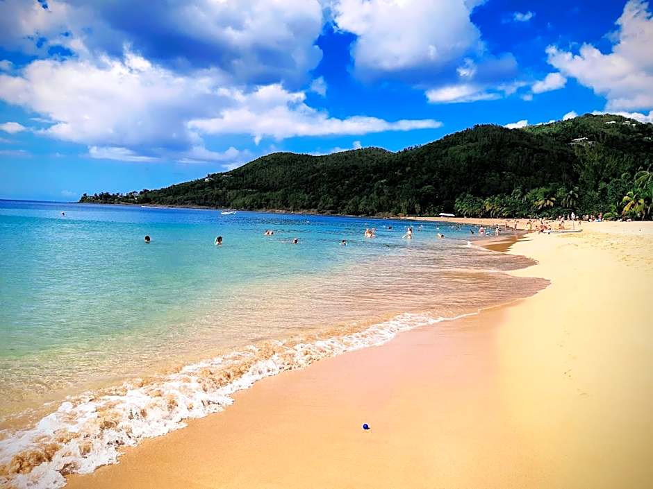 Domaine Choco Vanille