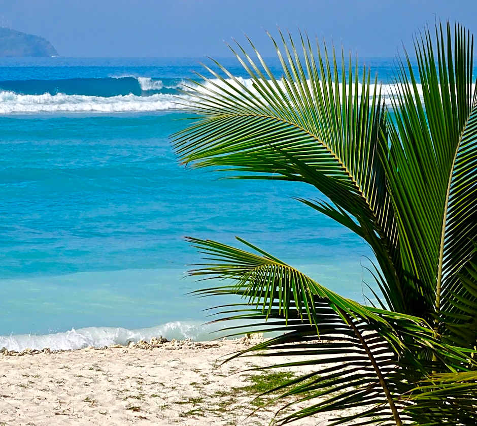 Havana Hideaway