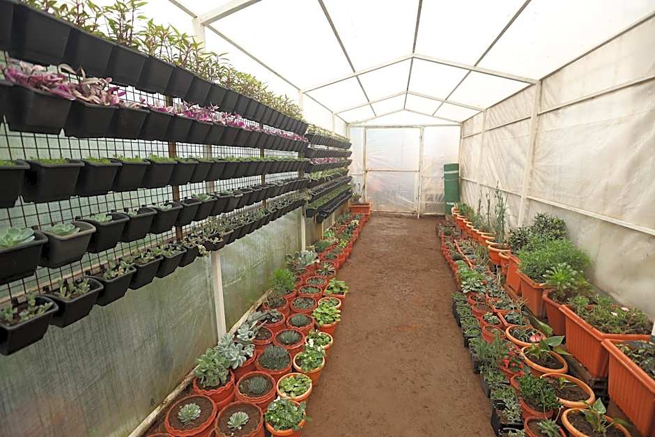 Delightz Inn Resorts