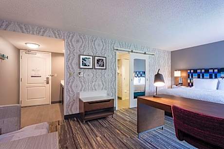 1 King Bed Studio Suite Nonsmoking
