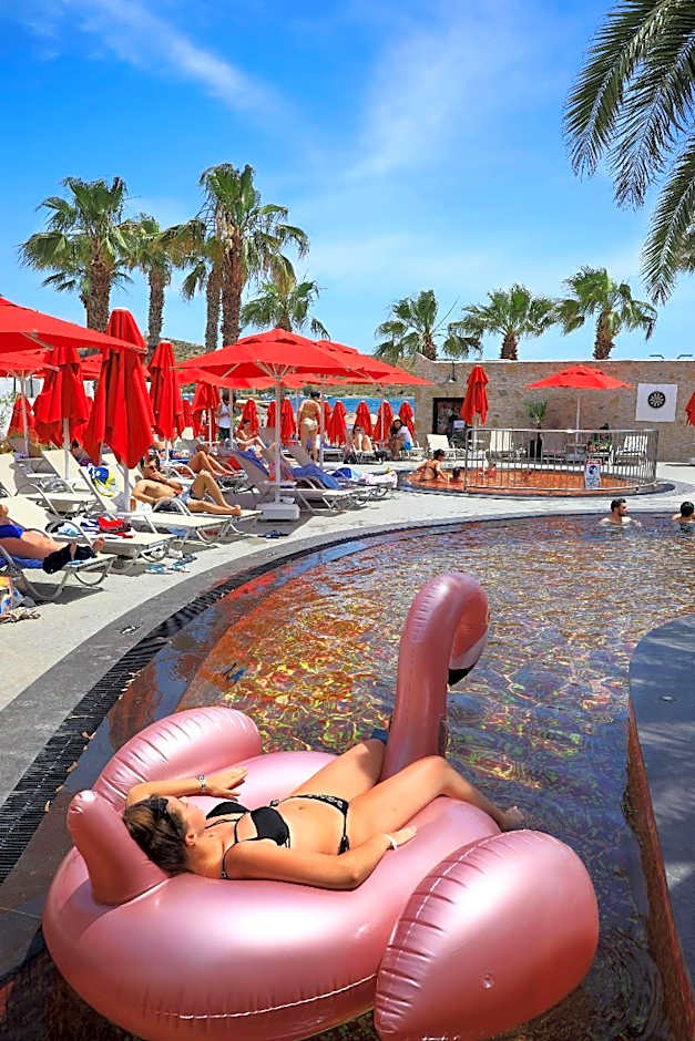 Very Chic Adult Only 18 