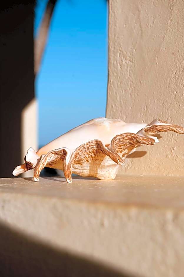 Sawa Sawa Beach House